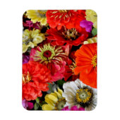 Farbiger Dahlienmagnet Magnet (Vertikal)