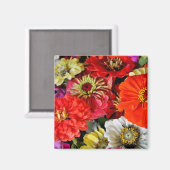 Farbiger Dahlienmagnet Magnet (Vorderseite/Rückseite)