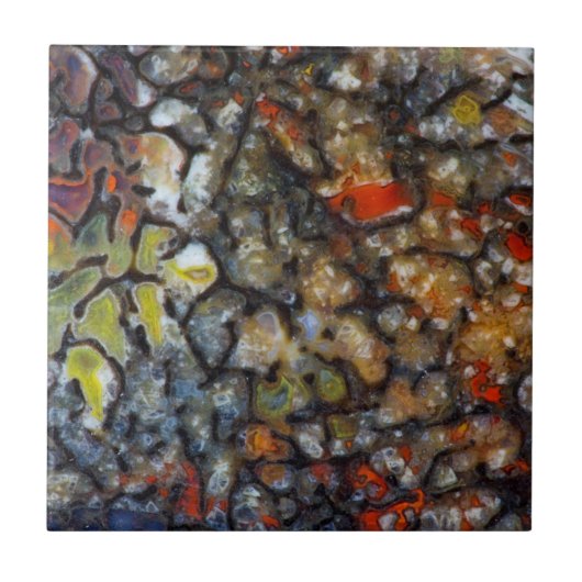 Farbiger Dinosaurier-Knochen Fliese (Vorderseite)