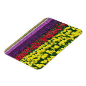 Farbiger Federtulips-Magnet Magnet (Linke Seite)