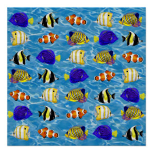 Farbiger Fisch Poster