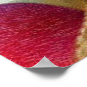 Farbiger französischer Barockvogel Embroidere Phoe Poster (Ecke)