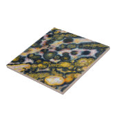 Farbiger Gepunkteter Ozean-Jasper Fliese (Seite)