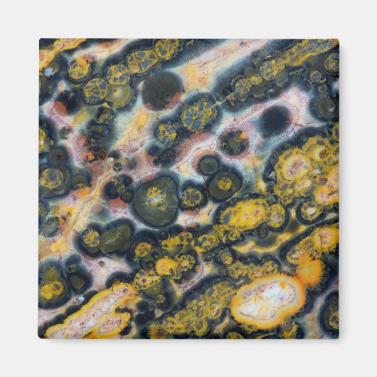 Farbiger Gepunkteter Ozean Jasper Magnet (Vorne)