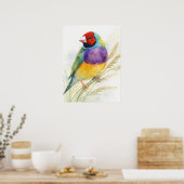 Farbiger Gouldamadine-Vogel Poster (Küche)