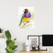 Farbiger Gouldamadine-Vogel Poster (Heimbüro)