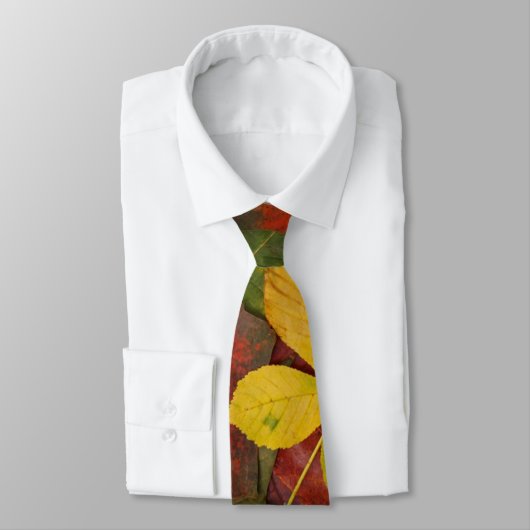 Farbiger Herbst Krawatte (Gebunden)