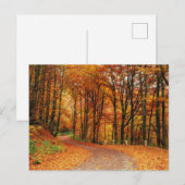 Farbiger Herbstweg Postkarte (Vorne/Hinten)