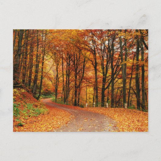 Farbiger Herbstweg Postkarte (Vorderseite)