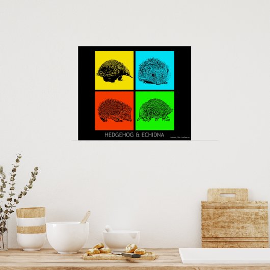 Farbiger Igel und Echidna Poster (Küche)