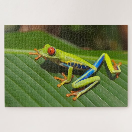 Farbiger kleiner Frosch Puzzle (Horizontal)