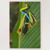 Farbiger kleiner Frosch Puzzle (Vertikal)
