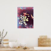 Farbiger Koi-Fisch Japanischer Fischteich Poster (Küche)