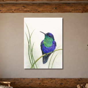 Farbiger Kronen-Waldnymphe-Kolibri Poster