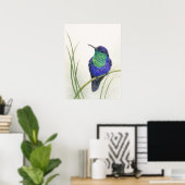 Farbiger Kronen-Waldnymphe-Kolibri Poster (Heimbüro)
