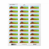 Farbiger Monsterwagen (Vorne)