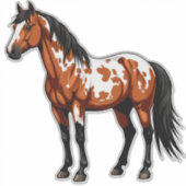 Farbiger Paint Horse Aufkleber (Vorderseite)