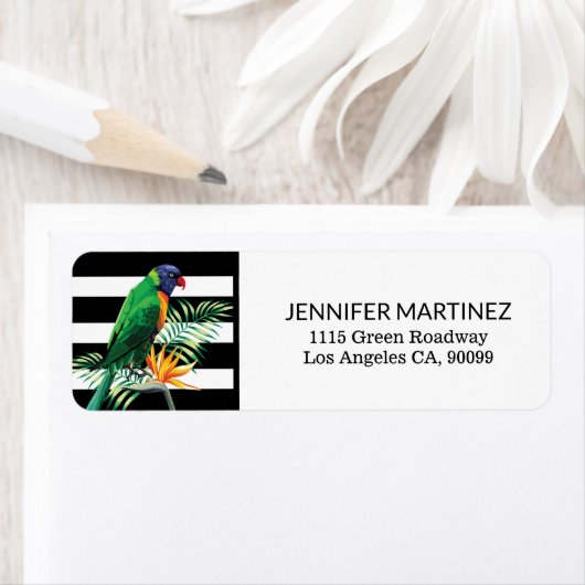 Farbiger Papagei  (Insitu)