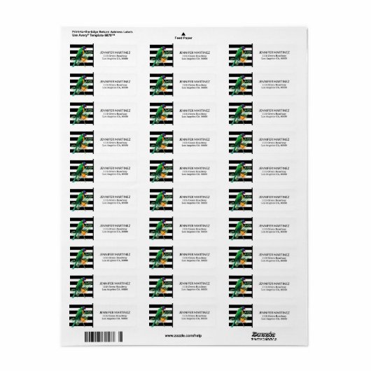 Farbiger Papagei  (Vorne)