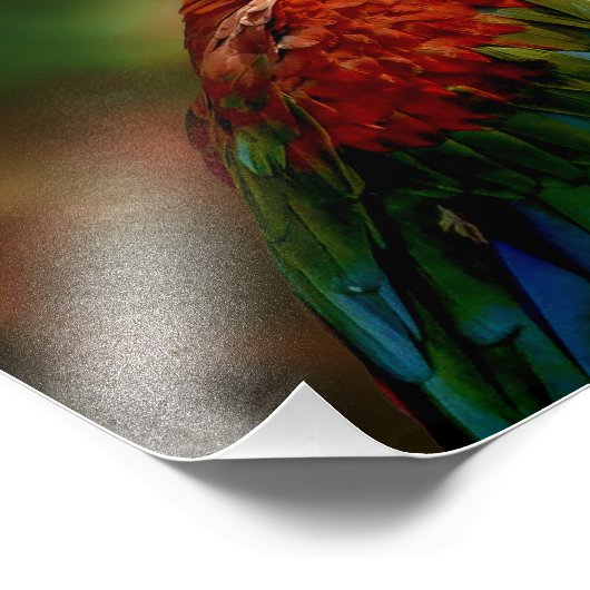 Farbiger Papagei Fotodruck (Ecke)