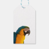 farbiger Papagei Geschenkanhänger (Rückseite)