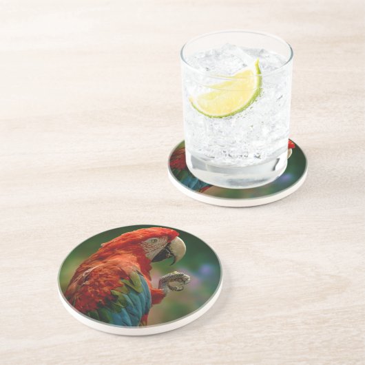Farbiger Papagei Getränkeuntersetzer (Seite)
