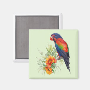 Farbiger Papagei Magnet