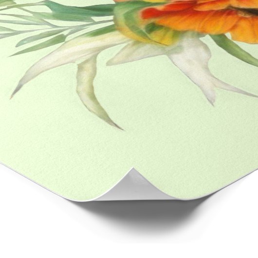 Farbiger Papagei Poster (Ecke)