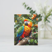 Farbiger Papagei Postkarte (Stehend Vorderseite)
