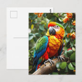 Farbiger Papagei Postkarte (Vorne/Hinten)