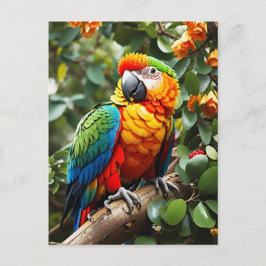 Farbiger Papagei Postkarte (Vorderseite)