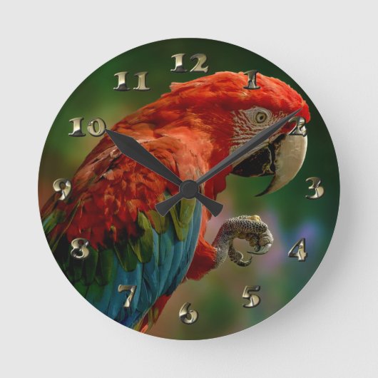 Farbiger Papagei Runde Wanduhr (Vorderseite)