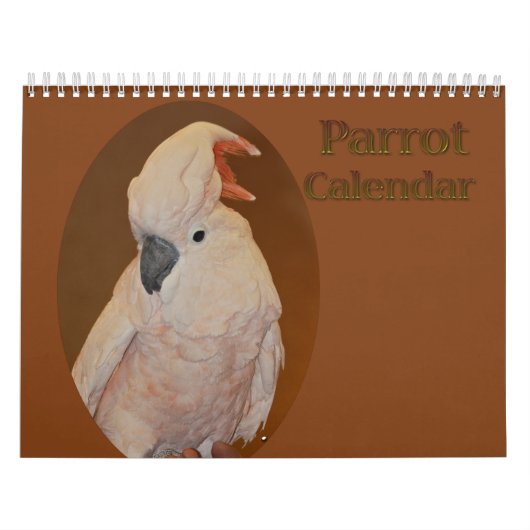 Farbiger Papageienkalender Kalender (Titelbild)