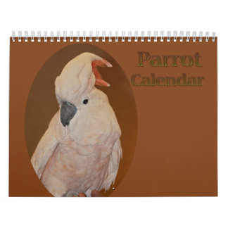 Farbiger Papageienkalender Kalender