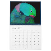 Farbiger Papageienkalender Kalender (Jan 2027)