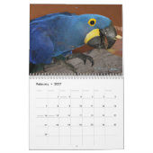 Farbiger Papageienkalender Kalender (Feb 2027)
