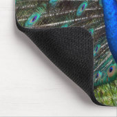 Farbiger Pfauenprint Mousepad (Ecke)