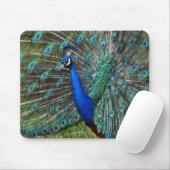 Farbiger Pfauenprint Mousepad (Mit Mouse)