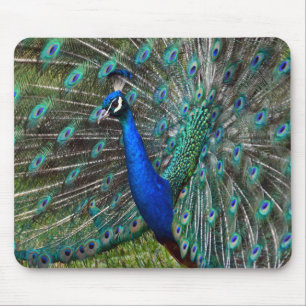 Farbiger Pfauenprint Mousepad