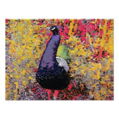 Farbiger Pfauenvogel Fotodruck (Vorne)