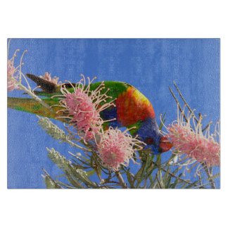 Farbiger Regenbogen-Lori-Vogel beim Nektaressen Schneidebrett