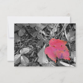 Farbiger roter Blatt-Pop Dankeskarte