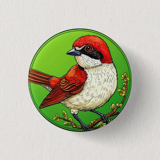 Farbiger Rotrückenwürger Vogel Button (Vorderseite)