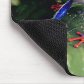 Farbiger Rotschaumfrosch auf Blätter der Pflanze Mousepad (Ecke)