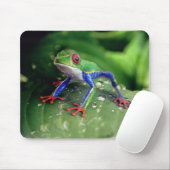 Farbiger Rotschaumfrosch auf Blätter der Pflanze Mousepad (Mit Mouse)