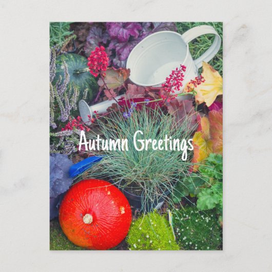 Farbiger rustikaler Herbstgarten Postkarte (Vorderseite)