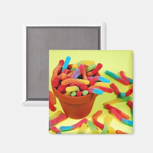 Farbiger Schleimwurmmagnet Magnet (Vorderseite/Rückseite)