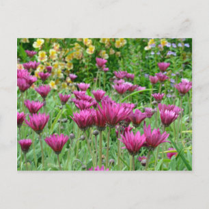 Farbiger Sommergarten Postkarte