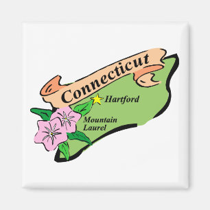 Farbiger Staat von Connecticut Map T-Shirts, Gesch Magnet