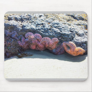 Farbiger Starfish am Bob Creek, OR Mousepad